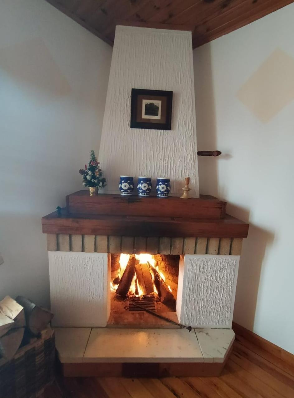 Apartmani Milic Sirogojno Zimmer foto